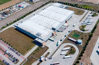 Gewerbeimmobilie mieten in 44579 Castrop-Rauxel, Ab 2. Quartal 2026 | GEG 40 | 7.705 m² Halle