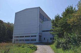 Büro zu mieten in An Der Bremecke 1-8, 59929 Brilon, Gewerbepark Brilon: Hallen, Lager, Büro und Archiv flexibel mietbar - Parkplätze vorhanden
