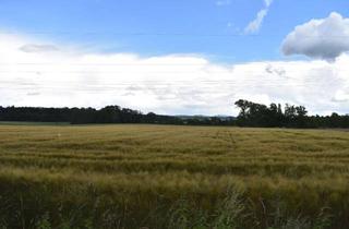 Anlageobjekt in 37412 Herzberg, 0,8ha große rechteckige Ackerfläche