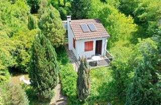 Grundstück zu kaufen in 71229 Leonberg, Sonniges Freizeitgrundstück mit Teichidylle und Solartechnik