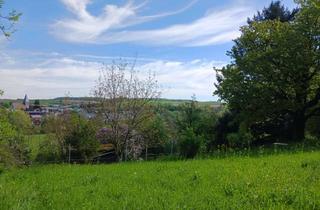 Grundstück zu kaufen in Wiesenweg, 74243 Langenbrettach, Panoramablick mit Obstbäumen- Natur pur Nähe Womostellplatz