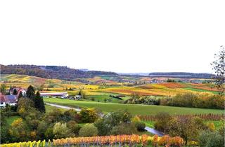 Grundstück zu kaufen in 74245 Löwenstein, Grundstück in Aussichtslage mit Weinberg in Löwenstein