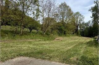 Grundstück zu kaufen in Mühlstraße 17, 76684 Östringen, Baugrundstück mit gr. Gartengrundstück in Östringen zu verkaufen