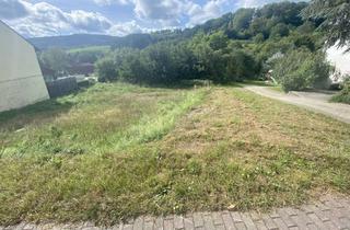 Grundstück zu kaufen in 69483 Wald-Michelbach, Sonniges Grundstück mit Fernblick - Süd-West-Ausrichtung