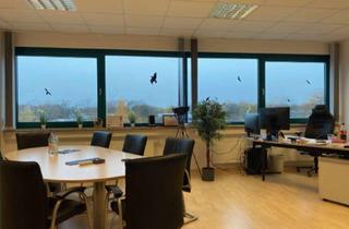 Büro zu mieten in 24576 Weddelbrook, 347-440 m² Büroflächen mit Option auf zusätzlich 800-2100 m² Lagerhallenfläche (beheizbar)