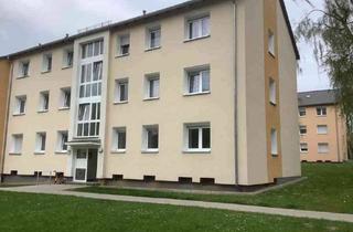 Wohnung mieten in Küsterwiese 11, 33611 Schildesche, Renovierte 3-Zimmer Wohnung mit Balkon in gepflegter Grünanlage am Obersee!