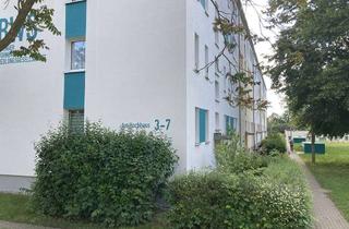 Wohnung mieten in Am Hochhaus, 04552 Borna, Frisch renovierte Wohnung mit Dusche im Erdgeschoss