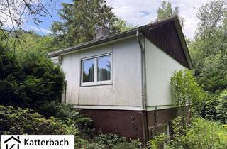 Einfamilienhaus kaufen in 38685 Langelsheim, Freistehendes Einfamilienhaus mit schönem Grundstück in Wolfshagen
