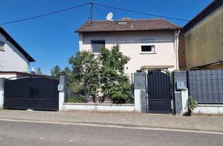 Haus kaufen in Schloss Str xx, 55278 Dexheim, „Pool, 1.094 m² Grundstück & viel Potenzial – freistehendes EFH im Herzen von Dexheim