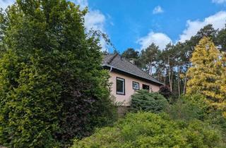 Haus kaufen in 29468 Bergen, Bergen an der Dumme - Streif-Bungalow mit Potenzial