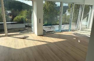 Haus kaufen in 57258 Freudenberg, Freudenberg - Eigentumswohnung FreudenbergBüschergrund Neubau