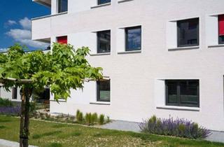 Wohnung mieten in Steimker Promenade, 38446 Reislingen, Naturnah wohnen, stadtnah leben – Exklusive 3-Zimmer-Wohnung in den Steimker Gärten