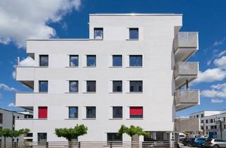 Wohnung mieten in 38446 Reislingen, Anspruchsvoll leben – stilvolle Wohnung in den Steimker Gärten