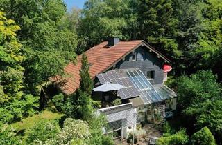 Haus kaufen in 54597 Olzheim, Pferdeliebhaber aufgepasst! Idyllisches Anwesen mit Holzblockhaus, Stallungen, Paddock & Weideland