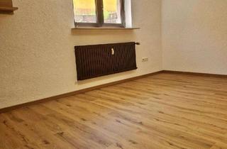 Wohnung mieten in 63110 Rodgau, Alltagstaugliches 1-Zimmer-Apartment in Rodgau