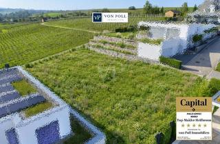 Immobilie kaufen in 74360 Ilsfeld, „Seltene Gelegenheit: Panoramagrundstück mit unverbaubarem Blick über Weinberge und dem Schozachtal“