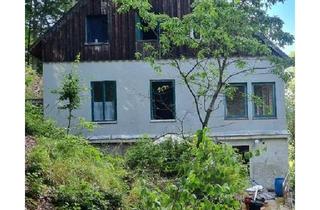Villa kaufen in 01762 Hartmannsdorf-Reichenau, Hartmannsdorf-Reichenau - Fabrikantenvilla nahe Dresden auf Mietkauf möglich