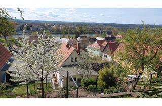Haus kaufen in 01796 Pirna, Pirna - Winzerhaus in Pirna - Südhang, Panoramablick, Werkstatt, FeWo