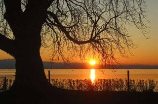 Wohnung kaufen in 88085 Langenargen, 2 Zi Wohnung in Langenargen, Sonnenstube am Bodensee genannt