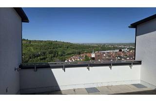 Wohnung mieten in 74376 Gemmrigheim, Neu renovierte 2-Zimmer-Wohnung mit großzügiger Dachterrasse und fantastischer Aussicht