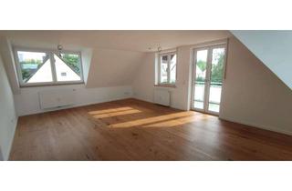 Wohnung mieten in 85221 Dachau, Neu renovierte 2-Zimmer-DG-Wohnung mit Balkon und Einbauküche in Dachau-Süd