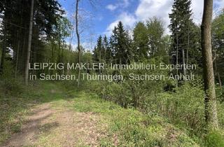 Immobilie kaufen in Tauhardter Straße 100, 06647 Finne, Waldfläche mit ca. 86.000 qm in Finne OT Billroda