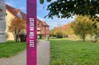 Wohnung mieten in 06198 Salzmünde, So schön kann Single-Wohnen sein
