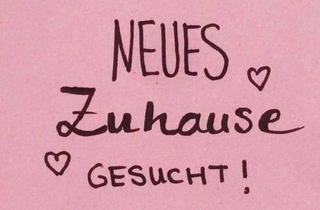 Wohnung mieten in Klosterstraße, 88427 Bad Schussenried, Ich suche ein neues Zuhause in Biberach an der Riß oder Kreis