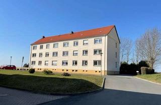 Mehrfamilienhaus kaufen in 04720 Großweitzschen, Kapitalanlage! Mehrfamilienhaus in dörflicher Lage zu verkaufen