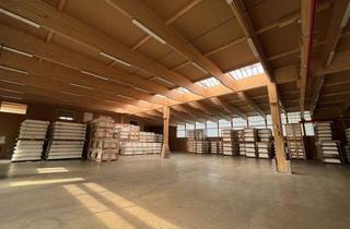 Geschäftslokal mieten in 95111 Rehau, Lager-/Produktionshalle mit Kranbahn in Rehau - ca. 1.024 m² Produktionsfläche - 150 m² Büro und Sozialräume im OG