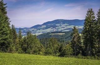 Haus kaufen in 79104 Herdern, Traumhafter Schwarzwaldhof mit Blick auf Freiburg