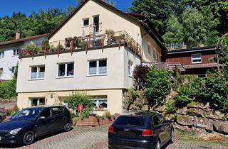 Haus kaufen in 69434 Hirschhorn, Schönes 6-Familienhaus in idyllischer Lage