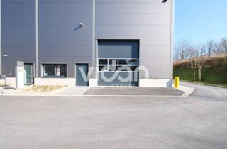 Gewerbeimmobilie mieten in 50170 Kerpen, LAGER | MODERNE HALLE | 2 TORE | 7,0 m UKB | VIDAN REAL ESTATE