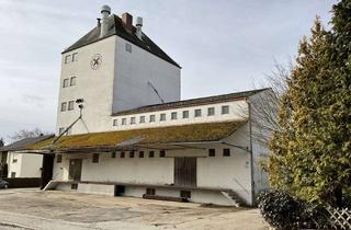 Gewerbeimmobilie kaufen in Dorfstraße 38, 93345 Hausen, Attraktives Grundstück mit Lagerhalle in Herrnwahlthann- Verkauf gegen Gebot