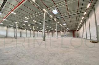 Büro zu mieten in 96242 Sonnefeld, JETZT BESICHTIGEN | ca. 14.000 m² Lagerfläche | teilbar ab 6.000 m² | Büro