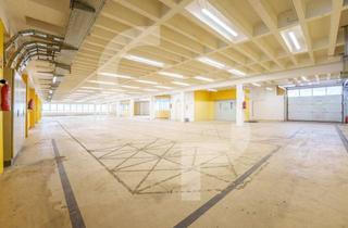 Gewerbeimmobilie mieten in Scheffelstraße 34-36, 68723 Schwetzingen, TAGESLICHT | BEHEIZT | RAMPE | HOHE BODENBELASTBARKEIT | UKB: 3 M