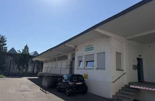 Gewerbeimmobilie mieten in 71032 Böblingen, Halbe Halle mit 337 m² Nutzfläche in Böblingen