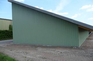 Gewerbeimmobilie mieten in Gintoft 22, 24972 Steinbergkirche, 375 m² Lagerflächen (teilbar ab 51 m²) in geschlossener Halle