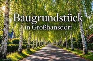 Grundstück zu kaufen in 22927 Großhansdorf, Repräsentatives Baugrundstück in Großhansdorf