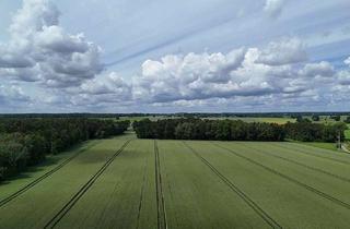 Grundstück zu kaufen in 29386 Obernholz, 9,9 ha arrondiertes Ackerland mit guter Bewirtschaftbarkeit