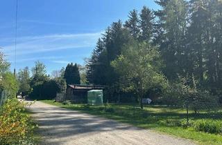 Grundstück zu kaufen in Am Krebsbach 63 ( mittleres G, 85757 Karlsfeld, Einzigartig und traumhaft: ca. 600 qm Freizeitgrundstück in Karlsfeld, kein Bauland !!!