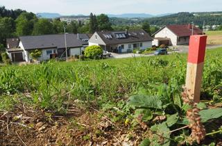 Grundstück zu kaufen in Bruckstraße, 73066 Uhingen, 1 Doppelhaus-Bauplatz in Neubaugebiet - Uhingen-Holzhausen (Flurstück 412/11)