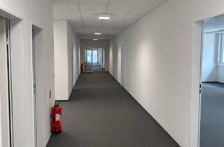 Büro zu mieten in Schürerstraße 5 b, 97080 Würzburg, Klassische Büroflächen in der Schürerstraße 5 b – solide, funktional und gut erreichbar