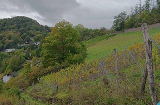 Gewerbeimmobilie kaufen in Unterm Esterweg, 56379 Obernhof, Wald-, Erholungs- und Landwirtschftsflächen im Paket zu verkaufen