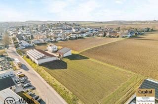 Gewerbeimmobilie kaufen in Scheuerlesstraße Flurstück 23526/, 75031 Eppingen, Gewerbegrundstück in Eppingen mit Potential