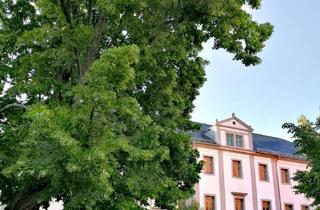Gewerbeimmobilie kaufen in Hospitalweg, 09599 Freiberg, Freibleibende Ausschreibung - perfekt geeignet für ruhendes Gewerbe bzw. altersgerechtes Wohnen.