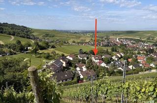 Wohnung kaufen in 79292 Pfaffenweiler, Modern sanierte 4-Zimmer-Wohnung in absoluter Traumlage von Pfaffenweiler