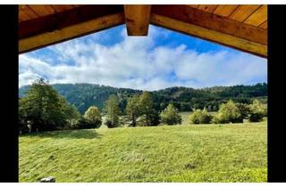 Einfamilienhaus kaufen in 94130 Obernzell, Exklusives Einfamilienhaus mit Donaublick, Pool, Sauna und außergewöhnlicher Ruhelage in Obernzell