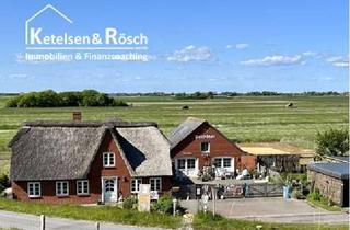 Haus kaufen in Westerschütting 12, 25849 Pellworm, Saniertes Friesenhaus mit Nebengebäude - Idyllische Einzellage in erster Reihe zum Meer -