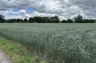 Grundstück zu kaufen in 84503 Altötting, Agrarfläche mit Perspektive & ergänzende Waldfläche – Verkauf im Bieterverfahren